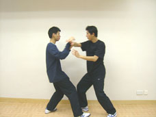 Taichi Pushing Hands