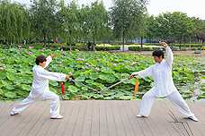 Taichi Private Class 